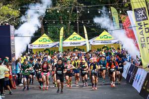 BIB: 
                            <button type="button" onclick="openModal(19504101)" class="btn btn-primary btn-sm float-right btn-popup" data-toggle="modal" data-target=".modal-high-quality">
                        <i class="fas fa-shopping-cart"></i> Add to Cart
                    </button>
                                            <button type="button" onclick="isThisMe(19504101, true)" class="btn btn-success btn-sm float-right btn-popup btn-isme hidden" data-toggle="tooltip" data-placement="bottom" title="นี่คือรูปของคุณใช่ไหม คลิกที่นี่เพื่อเอาเข้าอัลบั้ม">
                        <i class="fas fa-plus"></i> Add to album
                    </button>
                    <button type="button" onclick="isThisMe(19504101, false)" class="btn btn-warning btn-sm float-right btn-popup btn-isnotme hidden">
                        <i class="fas fa-ban"></i> Remove from album
                    </button>